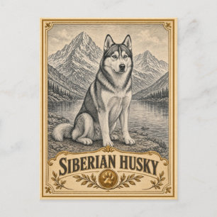 Siberian Husky, Vintage Heritage Dog Postcard