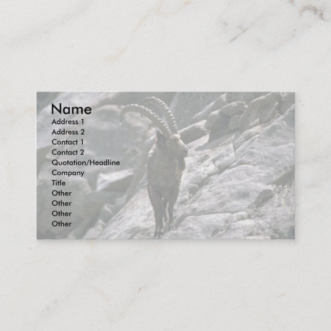 Siberian ibex business card (Front)