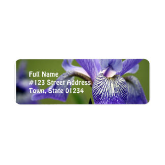 Siberian Iris Flower Return Address Label
