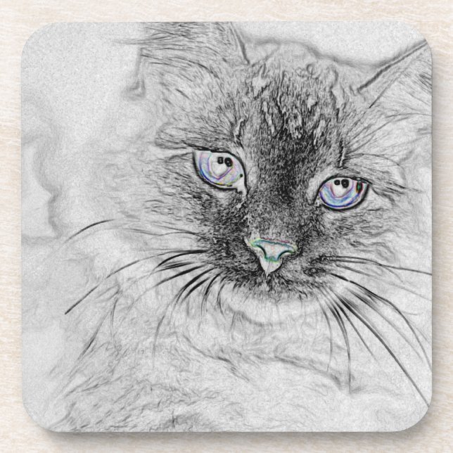 Siberian Kitty Cat Napping on the Marble Slab Coaster (Front)