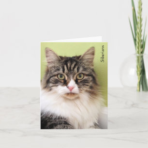 Siberian Magic Note Cards