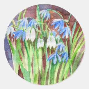 Siberian squill blue spring flower painting classic round sticker
