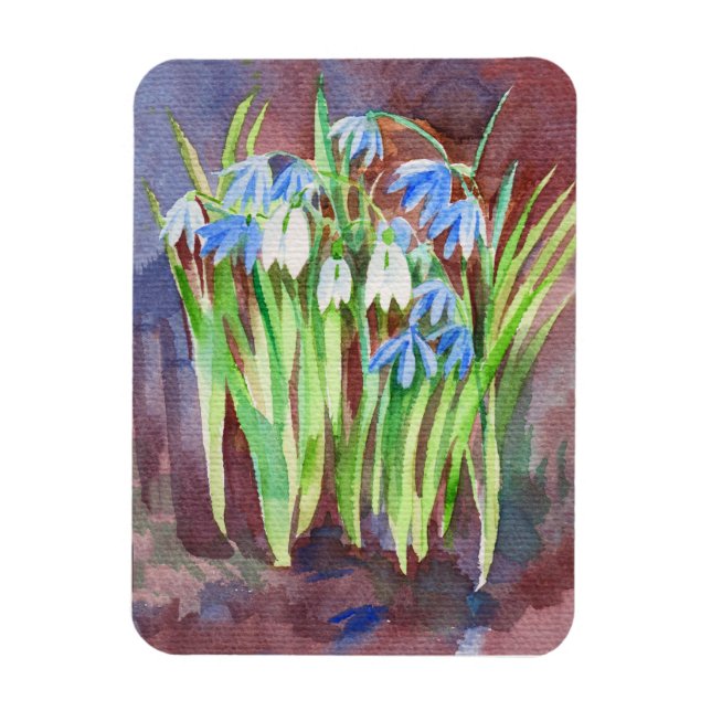 Siberian squill blue spring flower painting magnet (Vertical)