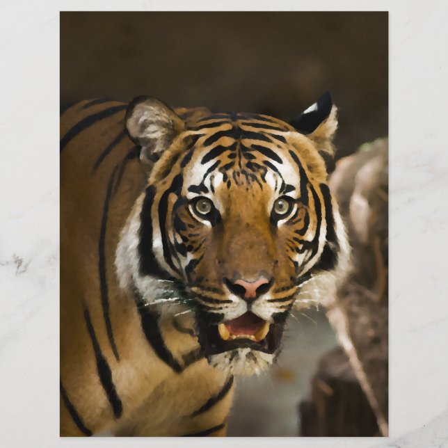 Siberian Tiger (Front)