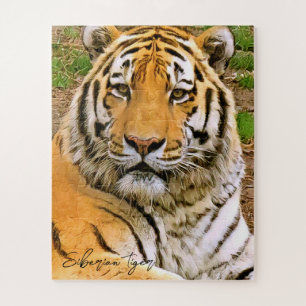 Siberian Tiger ジグソーパズル Jigsaw Puzzle