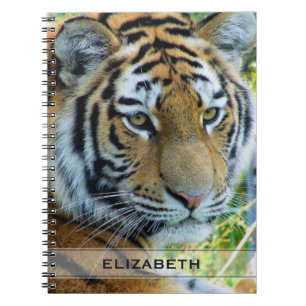 Siberian Tiger, Amur Tiger Notebook