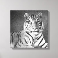 Siberian Tiger Art in Black and White - Canvas