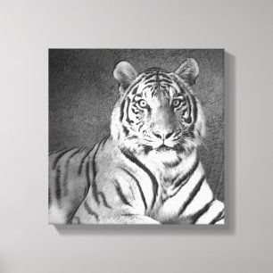 Siberian Tiger Art in Black and White - Canvas Print