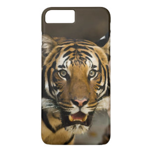 Siberian Tiger Case-Mate iPhone Case