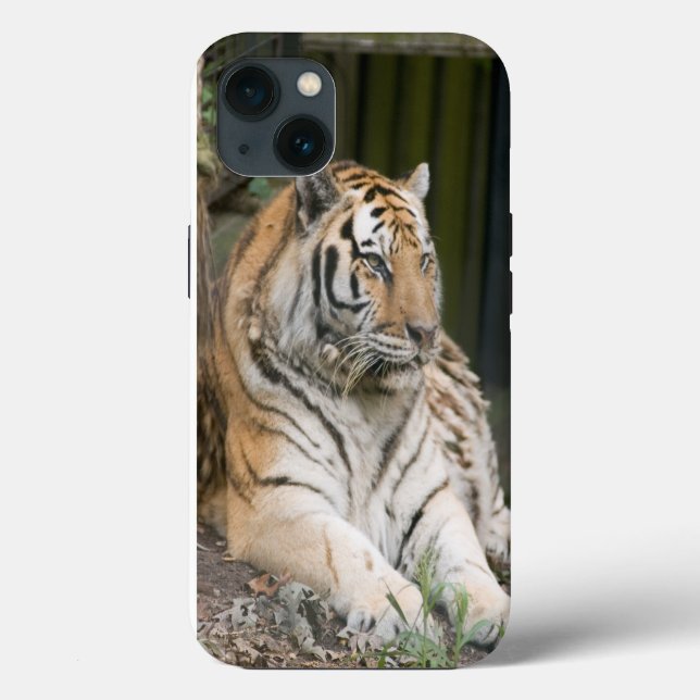 Siberian Tiger Case-Mate iPhone Case (Back)