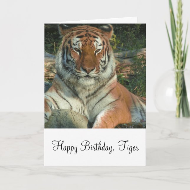 Siberian Tiger Greeting Card (Front)