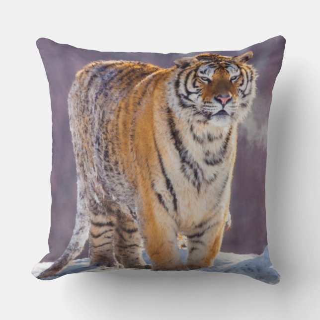 Siberian tiger in snow, China Cushion (Front)