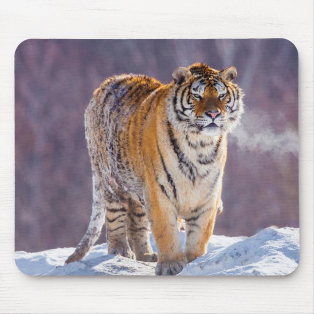 Siberian tiger in snow, China Mouse Pad (Front)