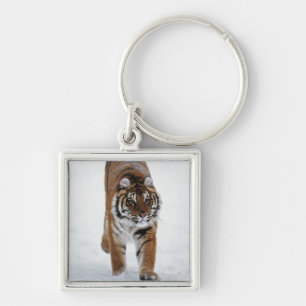Siberian Tiger In Snow Key Ring