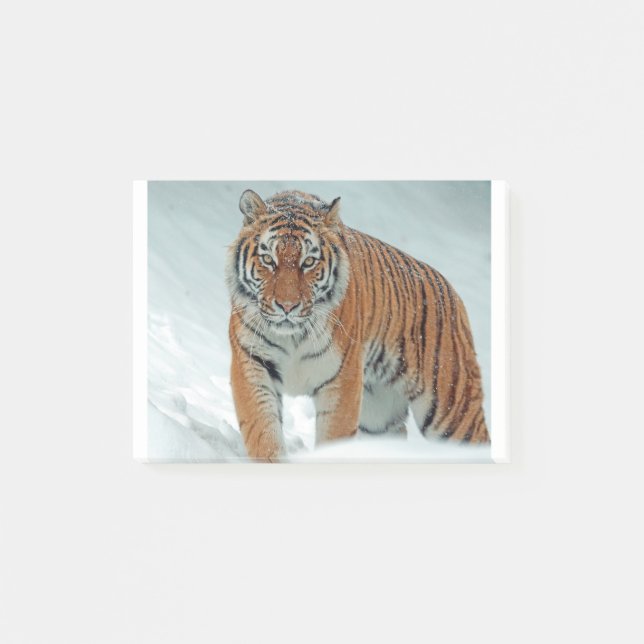 Siberian Tiger in the Snow Post-it Notes (Front)