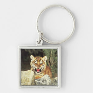 Siberian Tiger Key Ring