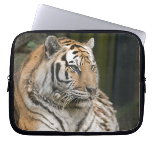 Siberian Tiger Laptop Sleeve
