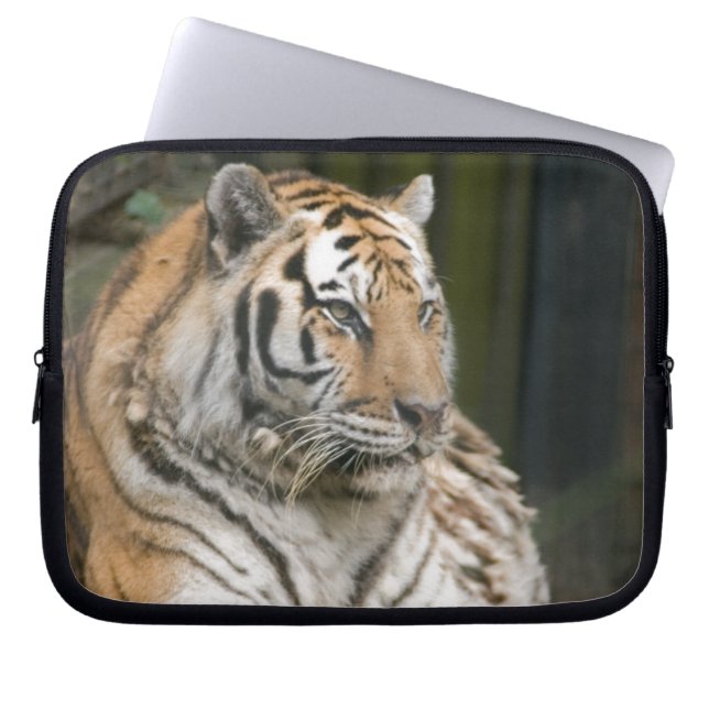 Siberian Tiger Laptop Sleeve (Front)