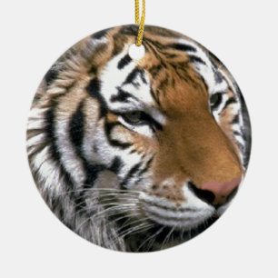 Siberian Tiger Lovers Art Ceramic Tree Decoration