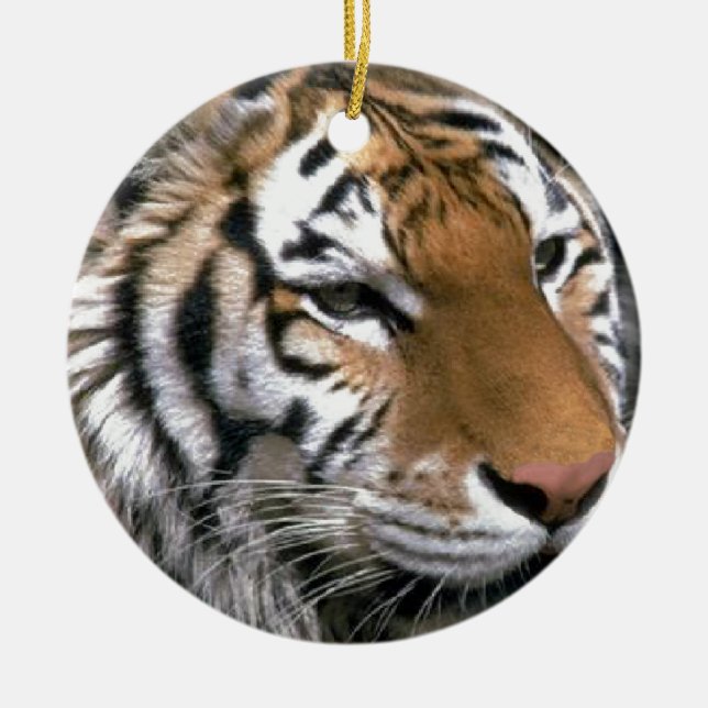 Siberian Tiger Lovers Art Ceramic Tree Decoration (Front)