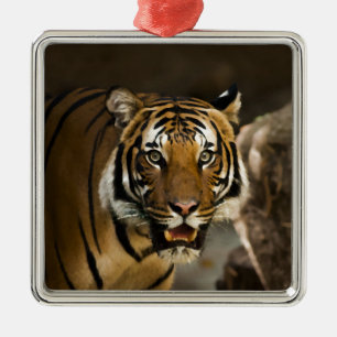 Siberian Tiger Metal Tree Decoration