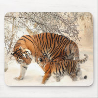 Siberian Tiger Mother and Kitten
