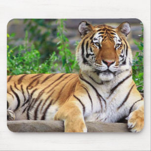 Siberian Tiger Mousepad