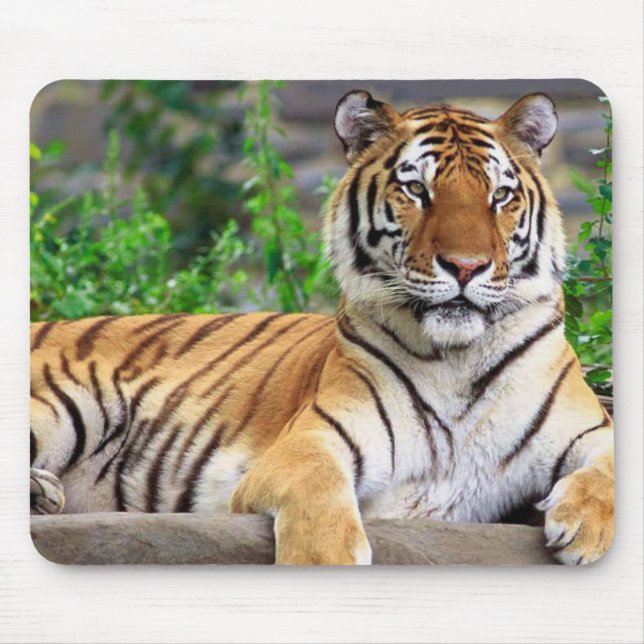 Siberian Tiger Mousepad (Front)