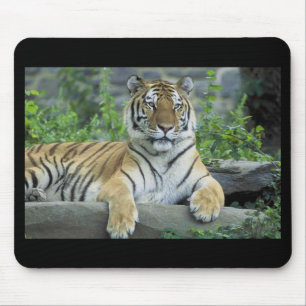 Siberian Tiger Mousepad