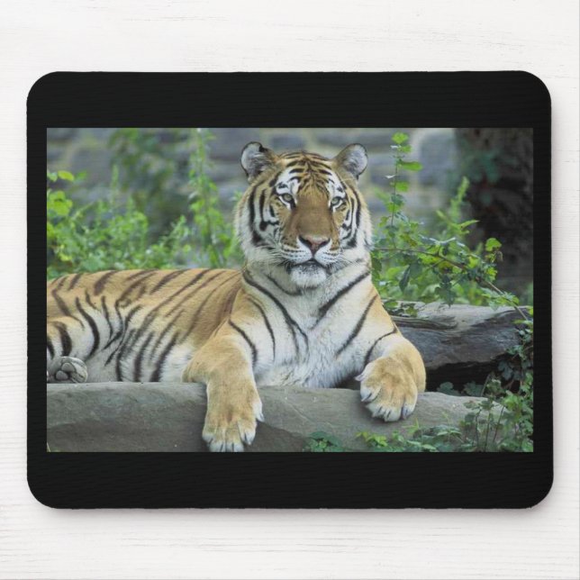 Siberian Tiger Mousepad (Front)