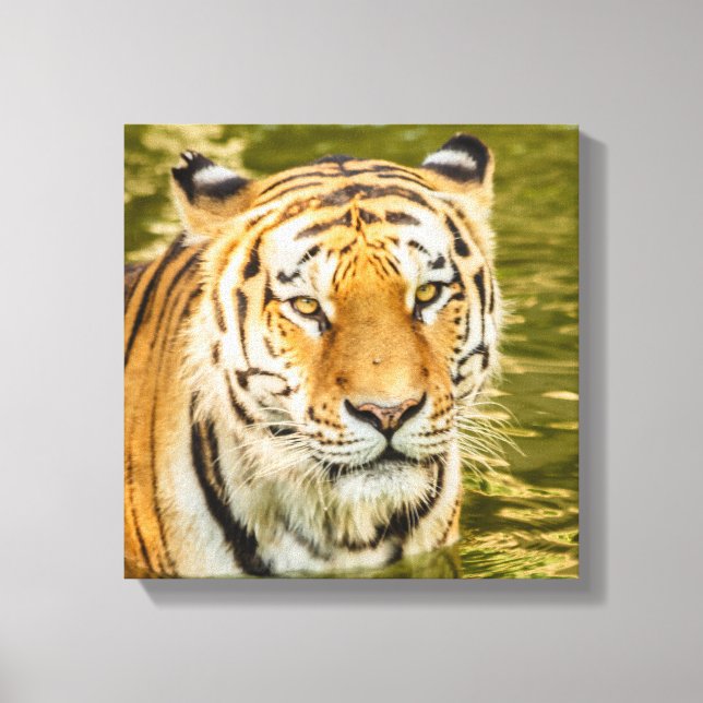 SIBERIAN TIGER ON CANVAS PRINT (Front)