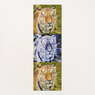 siberian tiger on yoga mat