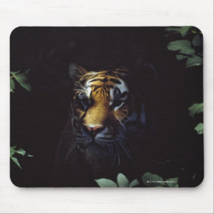 Siberian Tiger (Panthera Tigris Altaica) Peers Mouse Pad