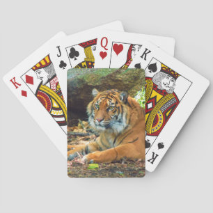 Siberian Tiger Playing Cards
