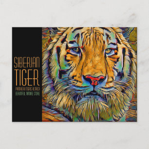 Siberian Tiger [Postcard] Postcard