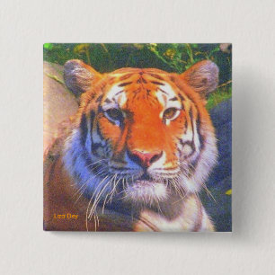 Siberian Tiger Square Button