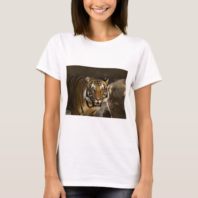 Siberian Tiger T-Shirt (Front)