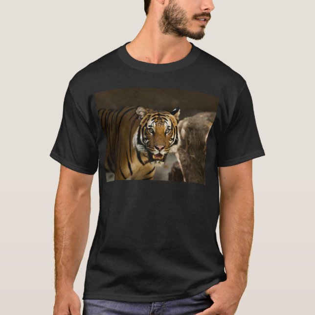 Siberian Tiger T-Shirt (Front)