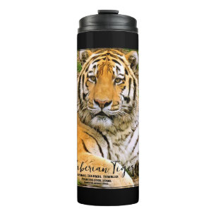 Siberian Tiger Thermal Tumbler