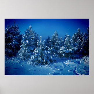 Siberian Winter Poster
