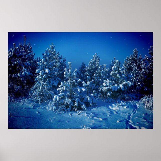 Siberian Winter Poster (Front)