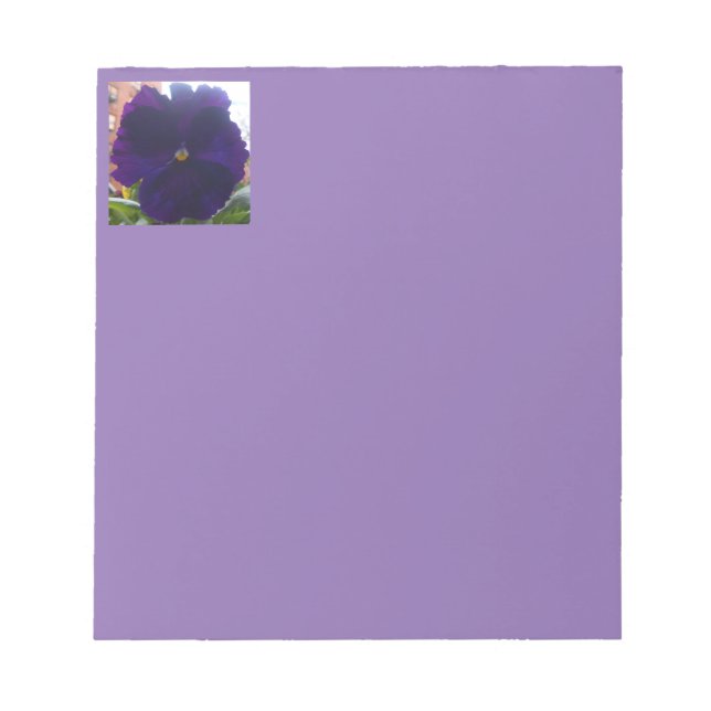 Sibylla Notepad (Front)