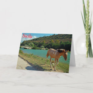 Sicily horse card
