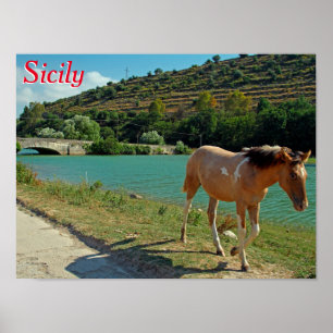 Sicily horse poster
