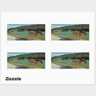Sicily horse rectangular sticker