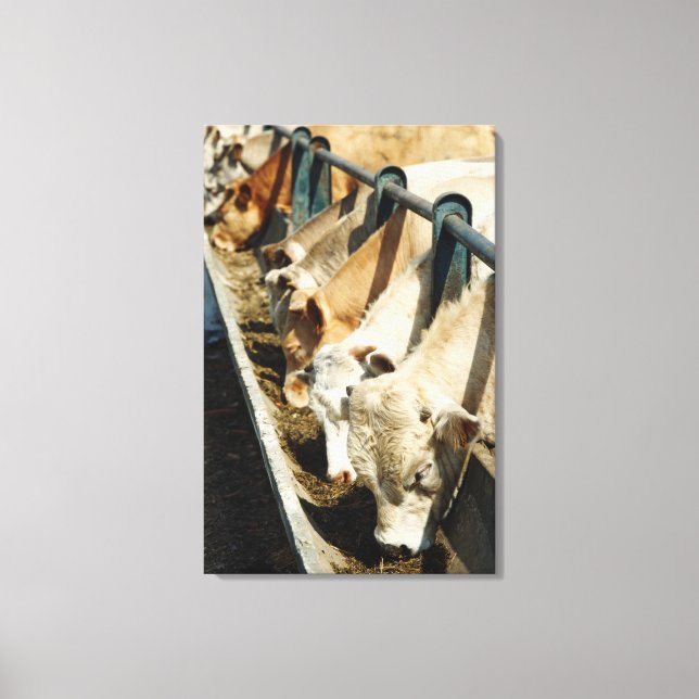 Sicily, Italy Canvas Print (Front)