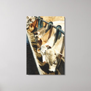 Sicily, Italy Canvas Print