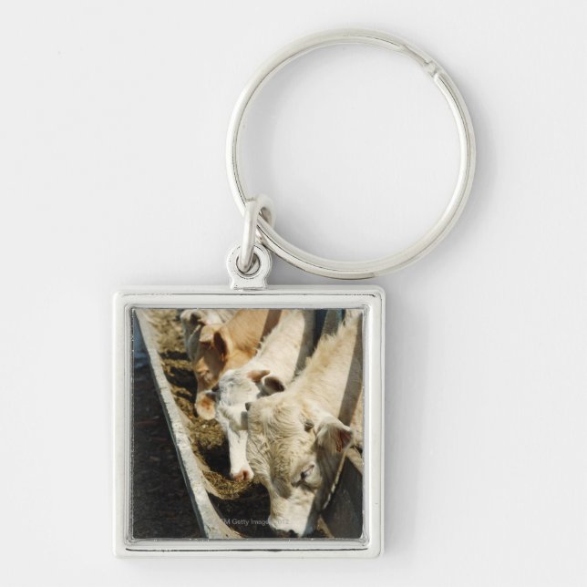 Sicily, Italy Key Ring (Front)