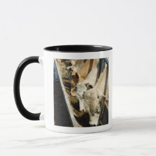Sicily, Italy Mug