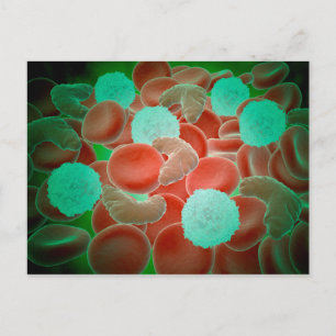 Sickle Cell Anaemia With Red Blood Cells Postcard
